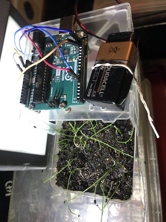 Arduino and battery atop a cube containing plants