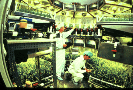 Technicians in white baggy suits in circular room full of plants.
